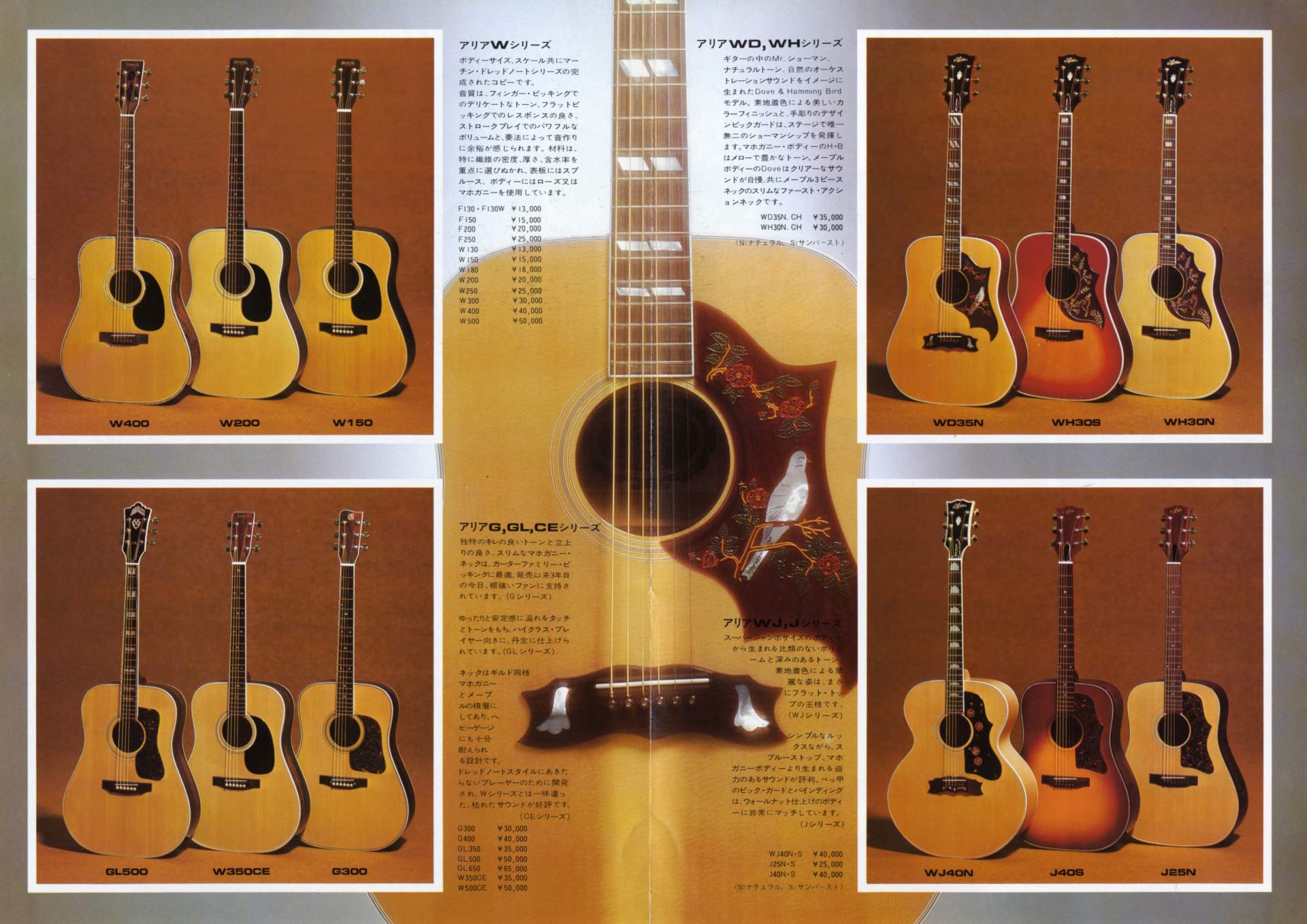 The World of Musical Instruments Brochures - Aria acoustic