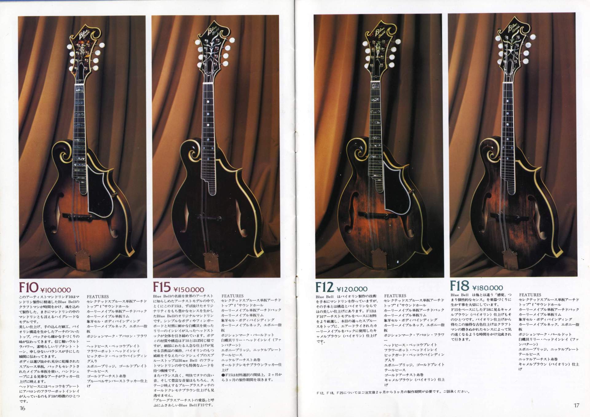 BlueBell W-350 70年代のブルーベルのドレッドノート 1970年 BLUEBELLカタログ - ビンテージギターカタログ