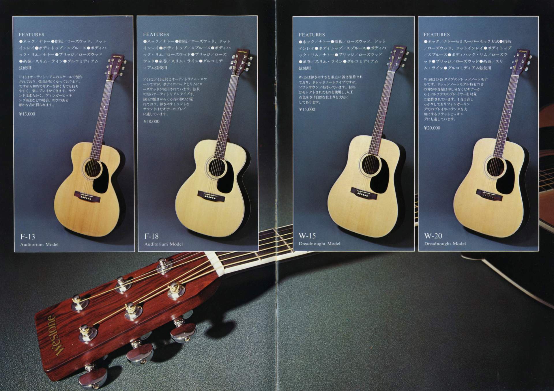 The World of Musical Instruments Brochures - Westone