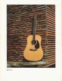 Tokai Acoustic Guitars Catalog 1981